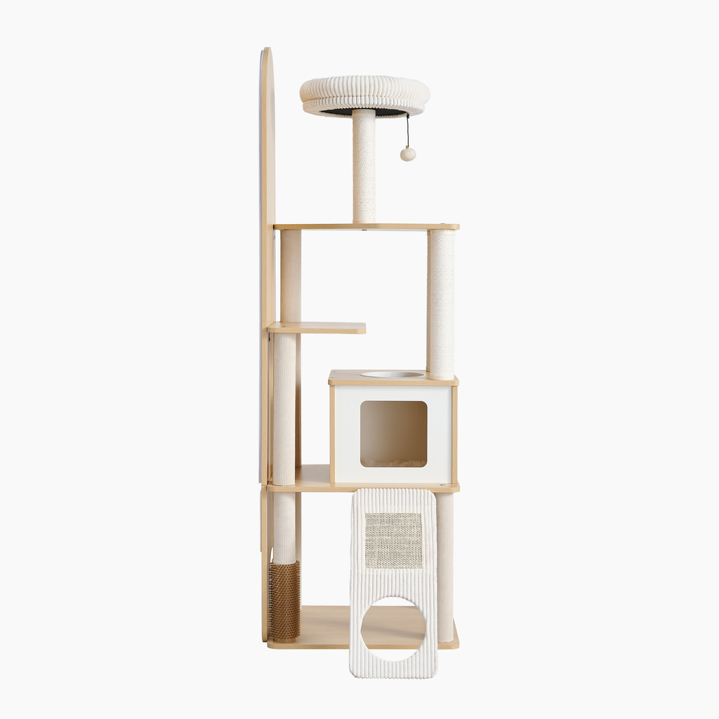 Mirror Atelier side view showing cat tree platforms, cat condo, and scratching ramp